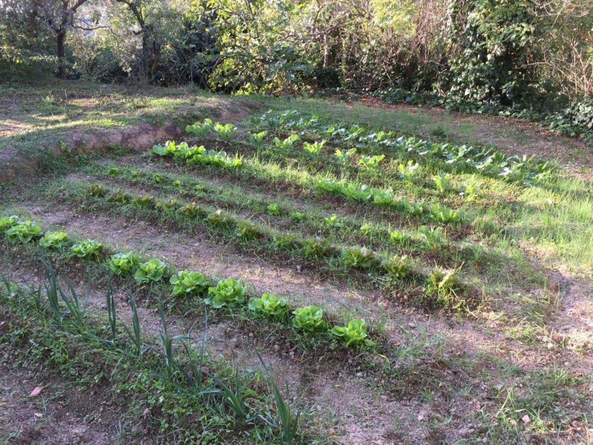 פוליניו Umbria In Bike B&B מראה חיצוני תמונה